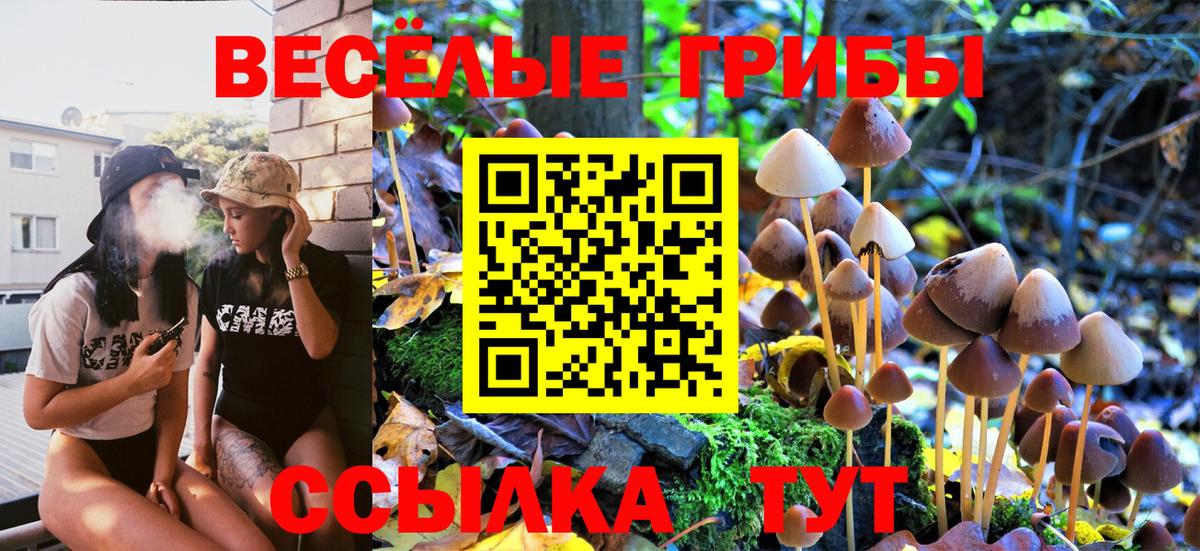 Псилоцибиновые грибы мицелий  Галлюциногенные грибы Magic Shrooms  Белгород  Вход с VPN 